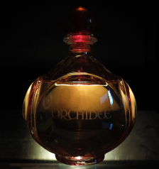 Opulent Noir